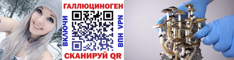 Галлюциногенные грибы Magic Shrooms  Ногинск 