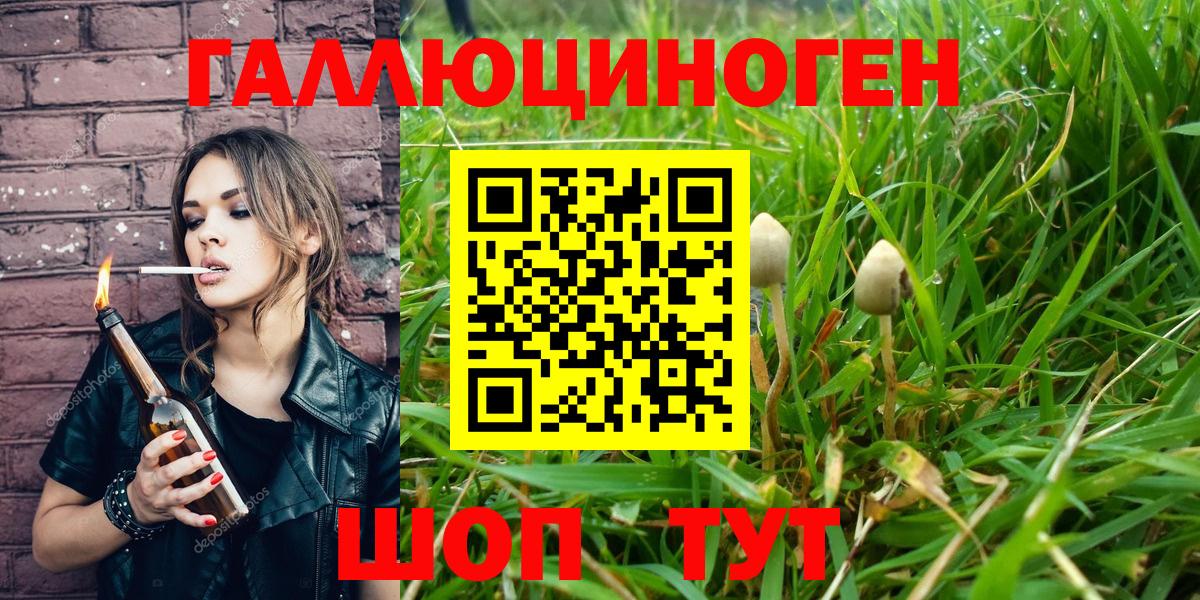Псилоцибиновые грибы Cubensis Ногинск
