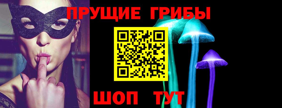 дарнет шоп  Галлюциногенные грибы Cubensis  Вход с VPN  Псилоцибиновые грибы GOLDEN TEACHER  Ногинск 