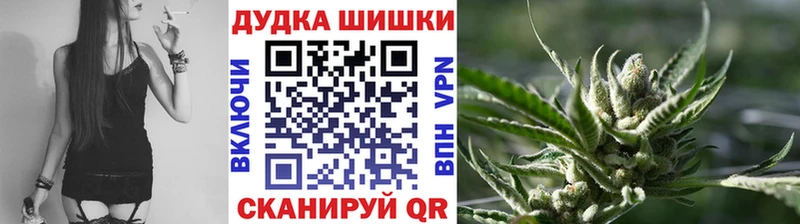 магазин продажи наркотиков  Ногинск  Каннабис MAZAR 